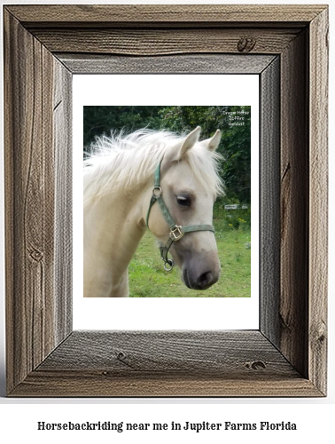 horseback riding near me in Jupiter Farms, Florida